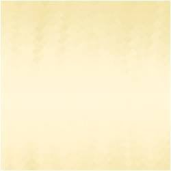 Transcend 8GB UHS I SD 8 Go SDHC MLC Classe 10 Neuf - vue 2