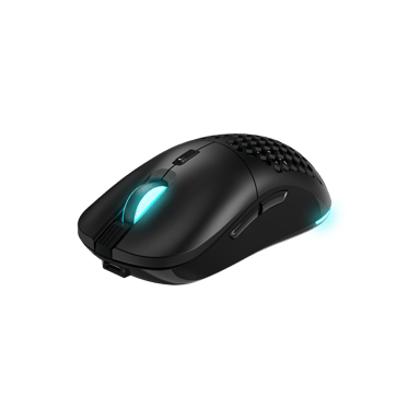 Souris Gaming sans Fil Newskill Arakne Elite RGB 16.000 DPI - FBA Professionnelle Ambidextre