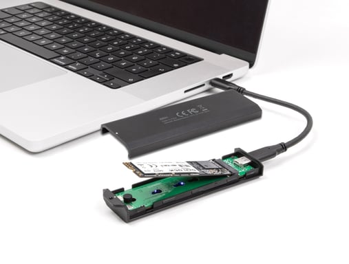 DeLOCK 42031 caja para disco duro externo Caja externa para unidad de estado sólido (SSD) Negro M.2