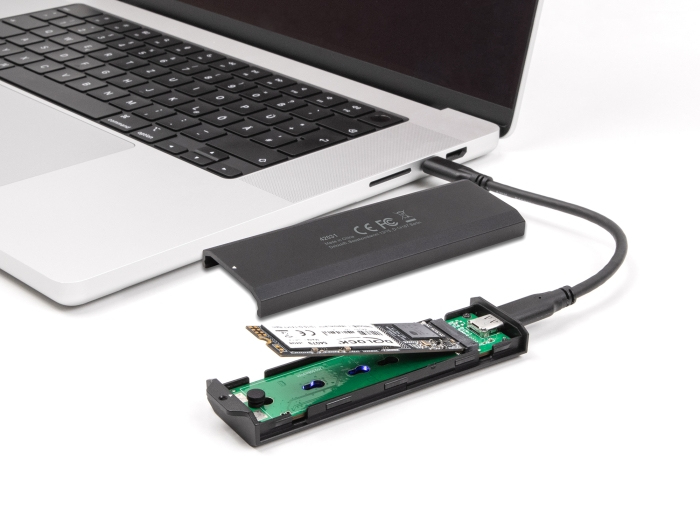 DeLOCK 42031 Boîtier de disques de stockage Enceinte ssd .2 Neuf - vue 2