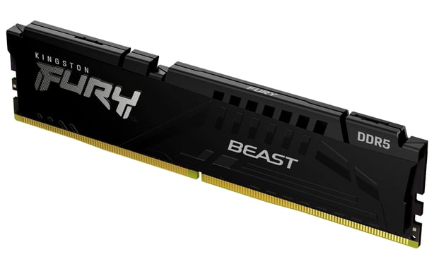 Kingston Fury? Beast DDR5 - 8 GB (1 x 8 GB) - 5200 MT/s C40 - Intel XMP 3.0 - Negro