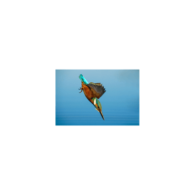 Sony SEL70200GM2 Appareil photo sports extrêmes Téléobjectif zoom Noir, Blanc