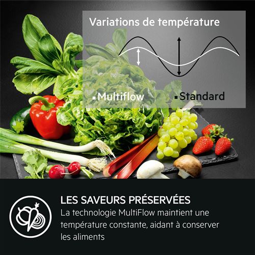 Réfrigérateur Combiné Encastrable AEG NSC6M18FES – 249 L, No Frost - vue 4