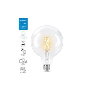 WiZ Globe 120 Lampadina E27 variabile bianca da 60W connessa