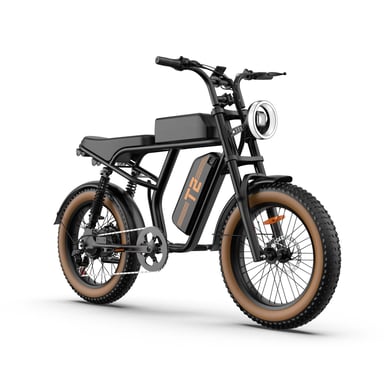 URLIFE T2 Vélo Électrique - Moteur 250W Batterie 48V 15.6Ah Pédalier assisté Freins à disque - NoirFreins à disque - Noir