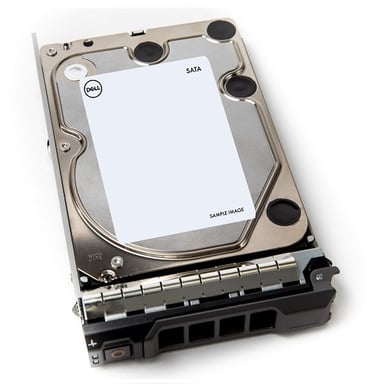 DELL 400-AEFB disque dur 1 To 7200 tr/min 3.5'' Série ATA III