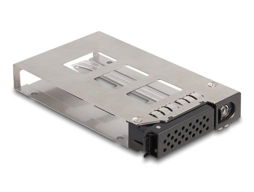 DeLOCK Plateau d'entrée de rack mobile pour 1 x U.2 NVMe SSD 2.5? pour rack mobile 47005 / 47011 / 47019