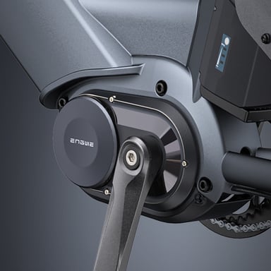 Bicicleta eléctrica de carga ENGWE LE20 de 250 W con sensor de par y transmisión central, 20'', con batería de 48 V y 19,2 Ah-Gris