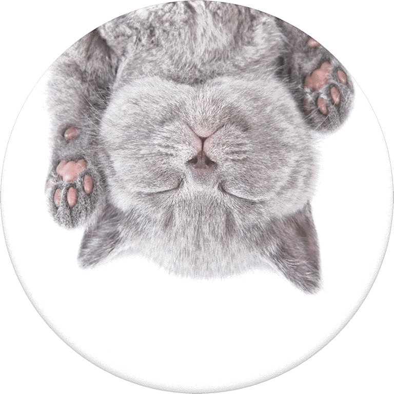 PopSockets Grip Animal Cat Nap (new 2019 packaging
