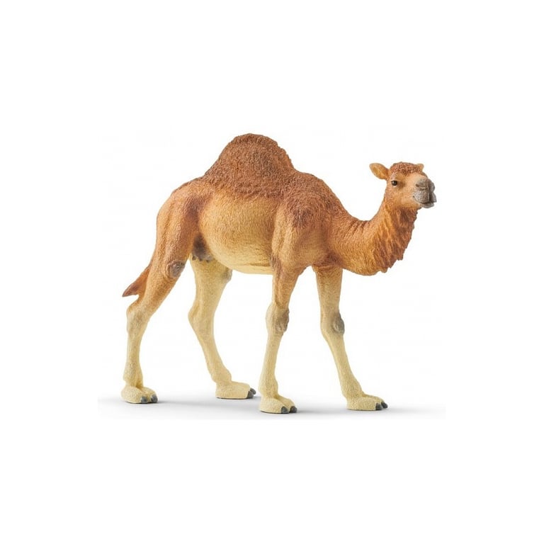 Dromadaire Schleich® Wild Life Figurine de Chameau à Une Bosse Neuf