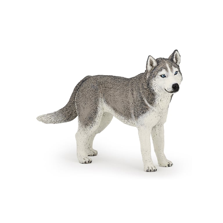 Papo Husky de Sibérie Neuf