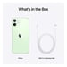 iPhone 12 Mini 128 Go, Vert, débloqué