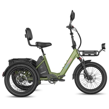 Tricycle électrique FAFREES F20 Mate II, batterie 48 V 21 Ah, freins à disque hydrauliques, paniers avant et arrière - Vert