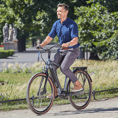 Bici elettrica JOBOBIKE Henry 250W Motore centrale 36V 14Ah