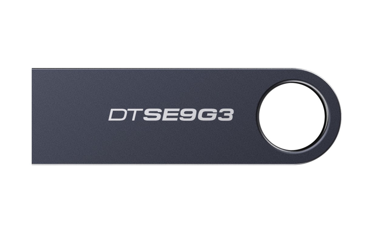 Kingston Technology DataTraveler SE9 G3 - vue 4