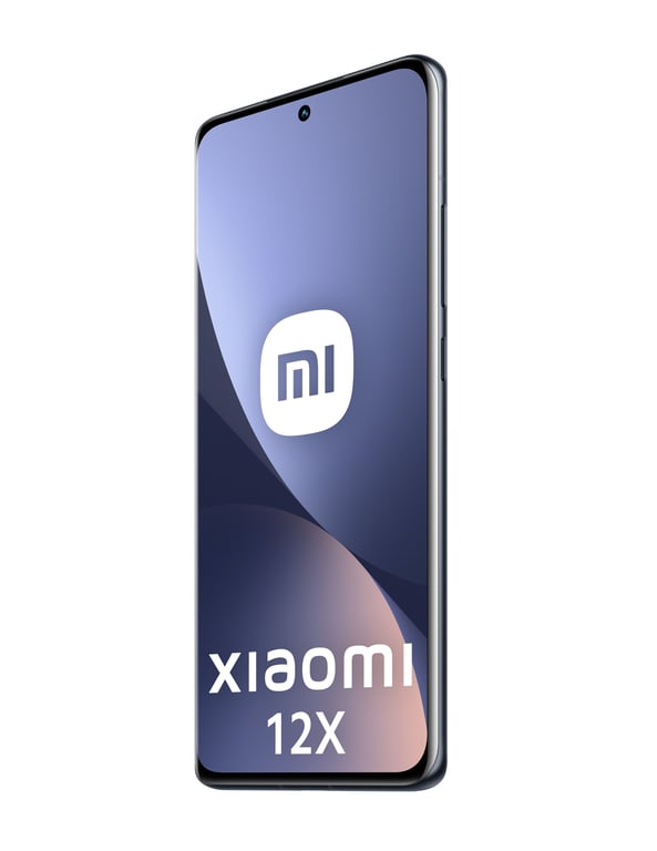 Xiaomi 12X (5G) 256 GB, Gris, Desbloqueado