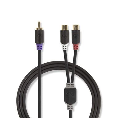 Nedis CABW24010AT02 câble audio RCA 2 x RCA Anthracite - Neuf
