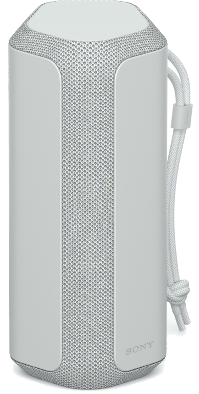 Sony SRS-XE200 Enceinte portable stéréo Gris