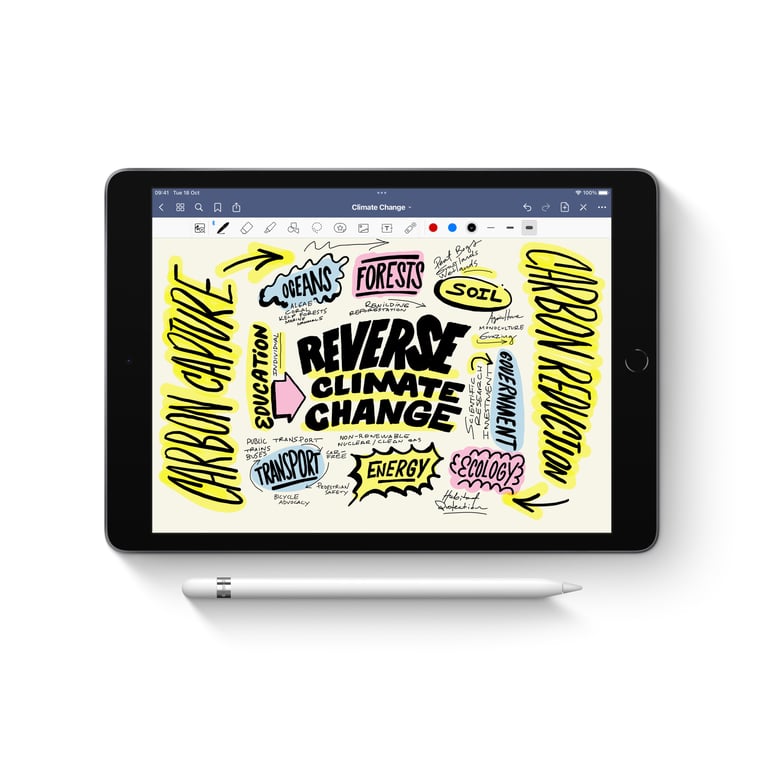 Apple Pencil 1ère Generation Lightning + adaptateur usb-c - Blanc - Neuf