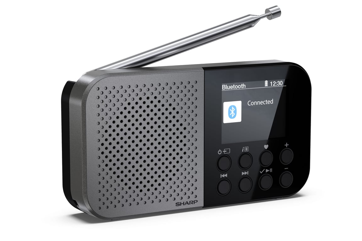 SHARP DR P520 GY RADIO DIGITALE PORTATILE DABDAB+ LCD MONOCROMATICO BLUETOOTH 5.0 GRAY - vue 4
