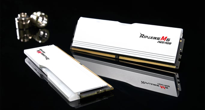 G.Skill Ripjaws M5 RGB F5-6000J3636F16GX2-RM5NRW módulo de memoria 32 GB 2 x 16 GB DDR5