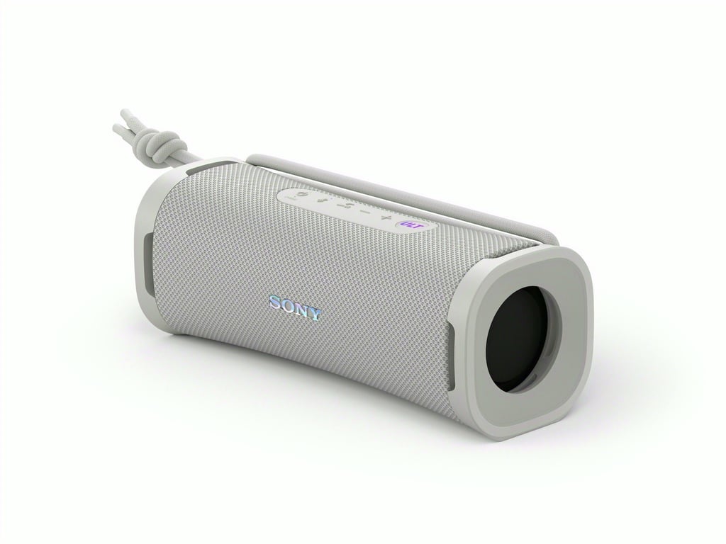 Sony SRSULT10W haut-parleur portable et de fête Enceinte portable mono Blanc 30 W - Neuf