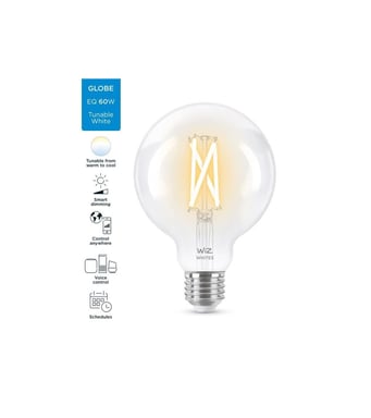 WiZ Globe 95 Lampadina E27 variabile bianca 60W collegata