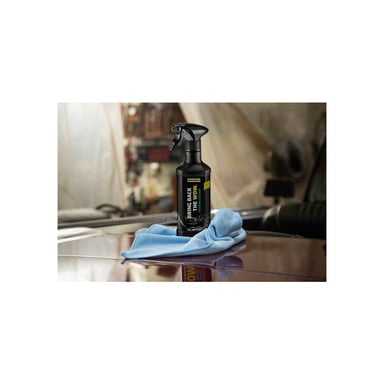 Nettoyant spécial habitacle KÄRCHER RM 651 500 ml spray senteur agréable pour plastiques caoutchouc vinyle