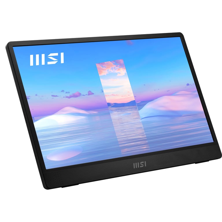 MSI Pro MP161 écran plat de PC 39 6 cm 15.6 1920 x 1080 pixels Full HD LED Neuf