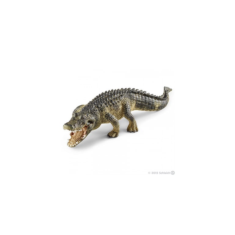 Alligator : Le Prédateur Puissant des Marais Neuf