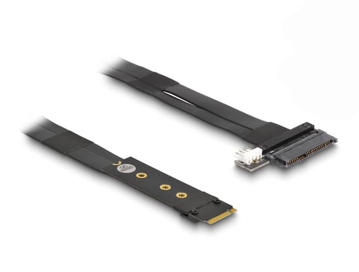 Delock Adattatore M.2 Key M a U.2 SFF-8639 NVMe con cavo da 20 cm