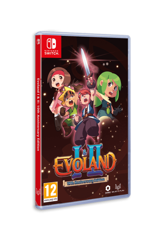 Evoland : 10th Anniversary 1+2 Legendary Edition Switch - vue 3