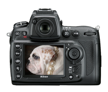 Nikon D700 Reflex 12,1 MP con Obiettivo AF-S NIKKOR 24-70mm - Schermo 3'', Sensore CMOS, Batteria Li-Ion