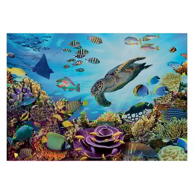 Puzzle Calypto XL - Fondo Marino 500 piezas para Adultos y Niños