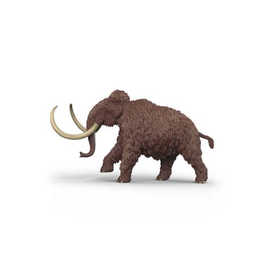 Miniature 4