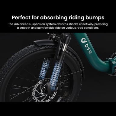 DYU C9 Bicicletta elettrica pieghevole 250W 48V 15,6Ah Verde