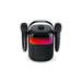 Enceinte Bluetooth karaoké MUSE M-530 KA 30 W Noir avec 2 micros sans fil, USB MP3, AUX 3,5 mm, atténuation des paroles, LED IPX5
