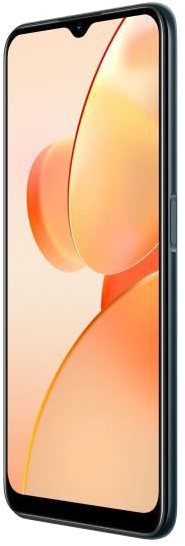 Realme C31 32 Go, Vert foncé, débloqué