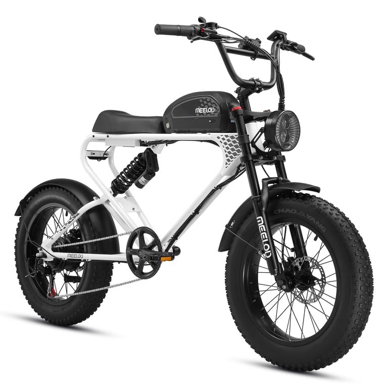 Vélo électrique rétro style cyclomoteur MEELOD DK300 PLUS 20 - Batterie