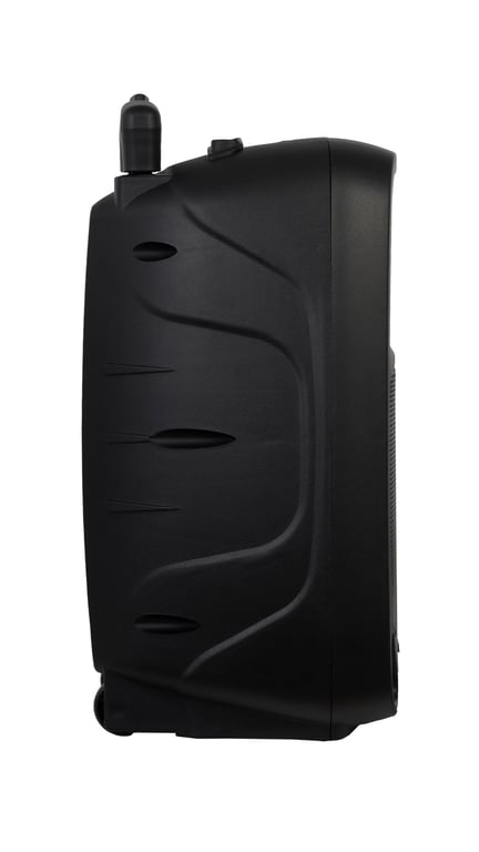 Enceintes Bluetooth Portables FONESTAR MALIBU 310 Noires Neuf - vue 2