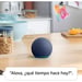 Amazon Echo Dot (5. Gen)