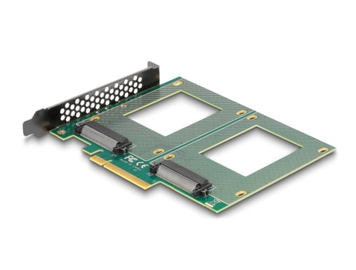 Delock Scheda PCI Express 4.0 x8 a 2 x U.2 NVMe interni SFF-8639
