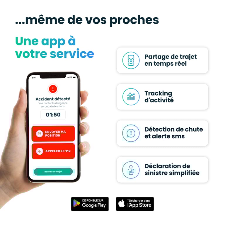 Fusion+ Sapin Métallisé - vue 10