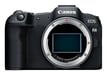 Canon EOS R8 + RF 24-50mm F4.5-6.3 IS STM Kit MILC 24,2 MP CMOS 6000 x 4000 Pixeles Negro