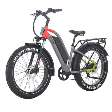 E-bike JOBOBIKE Kelper ST-F42 per adulti con batteria LG da 48V 20Ah