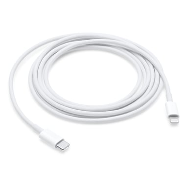 Apple MQGH2ZM/A Cable Lightning de 2 m Blanco