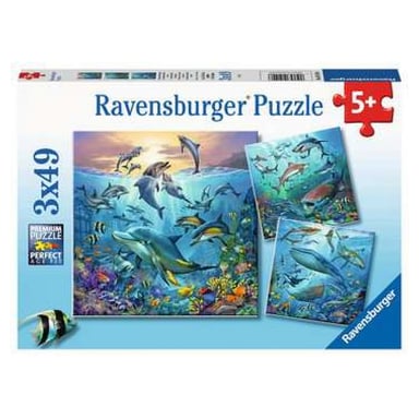 Puzzle educativo 3 X 49 piezas: Descubre el océano
