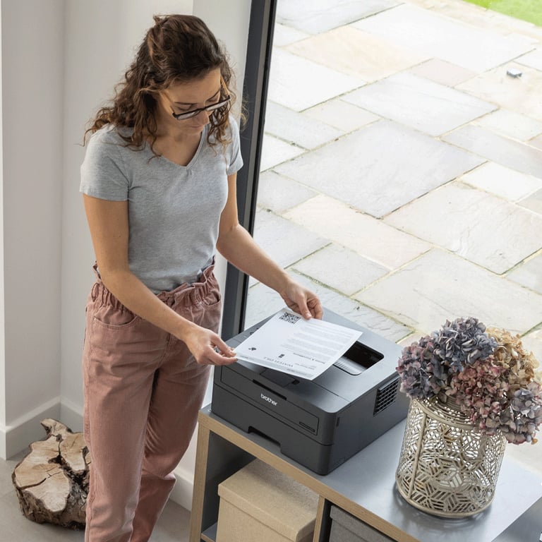 Brother HL L2400DWE - vue 4