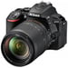 Nikon D5500 + AF-S DX NIKKOR 18-140mm Juego de cámara SLR 24,2 MP CMOS 6000 x 4000 Pixeles Negro