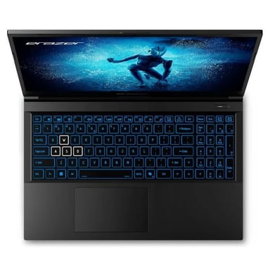 PC Portable Gamer  Deputy P60i MD62641 - Windows 11 - 15,6 FHD IPS 144Hz - RTX 4060 - Core i7-12650H - RAM 16Go - 1To SSD
